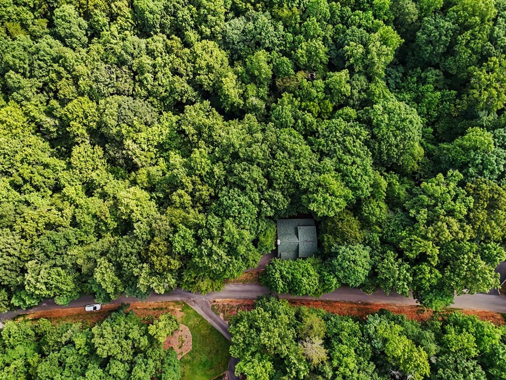 1411 Bradley Road, Blairsville GA 30512 - Photo