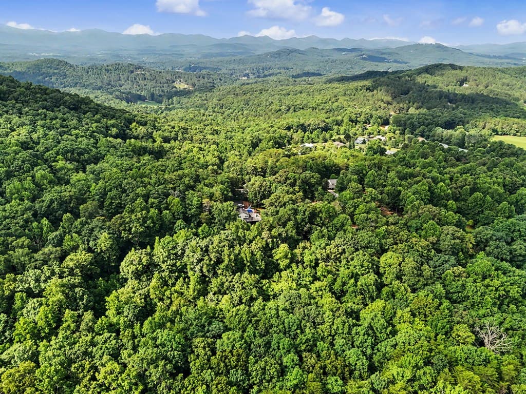 1411 Bradley Road, Blairsville GA 30512 - Photo