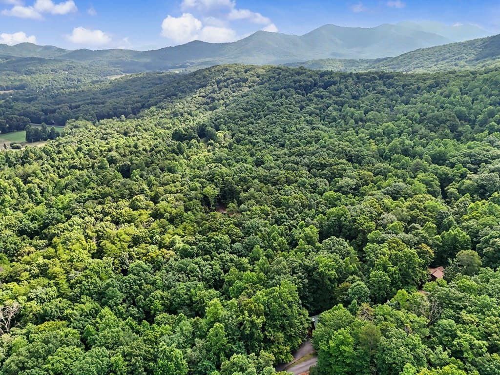 1411 Bradley Road, Blairsville GA 30512 - Photo