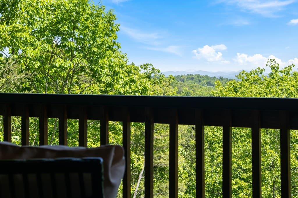 161 Huntington Way, Blue Ridge GA 30513 - Photo