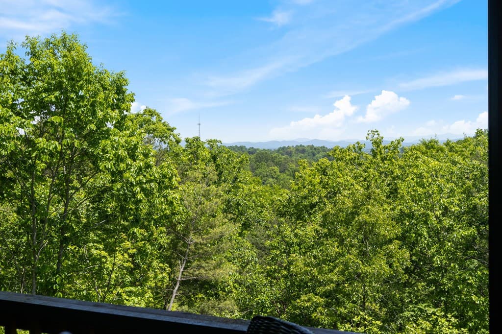 161 Huntington Way, Blue Ridge GA 30513 - Photo