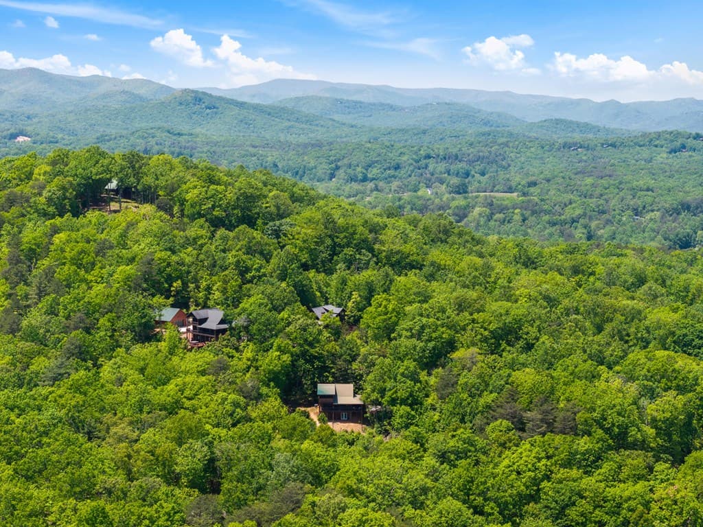 161 Huntington Way, Blue Ridge GA 30513 - Photo