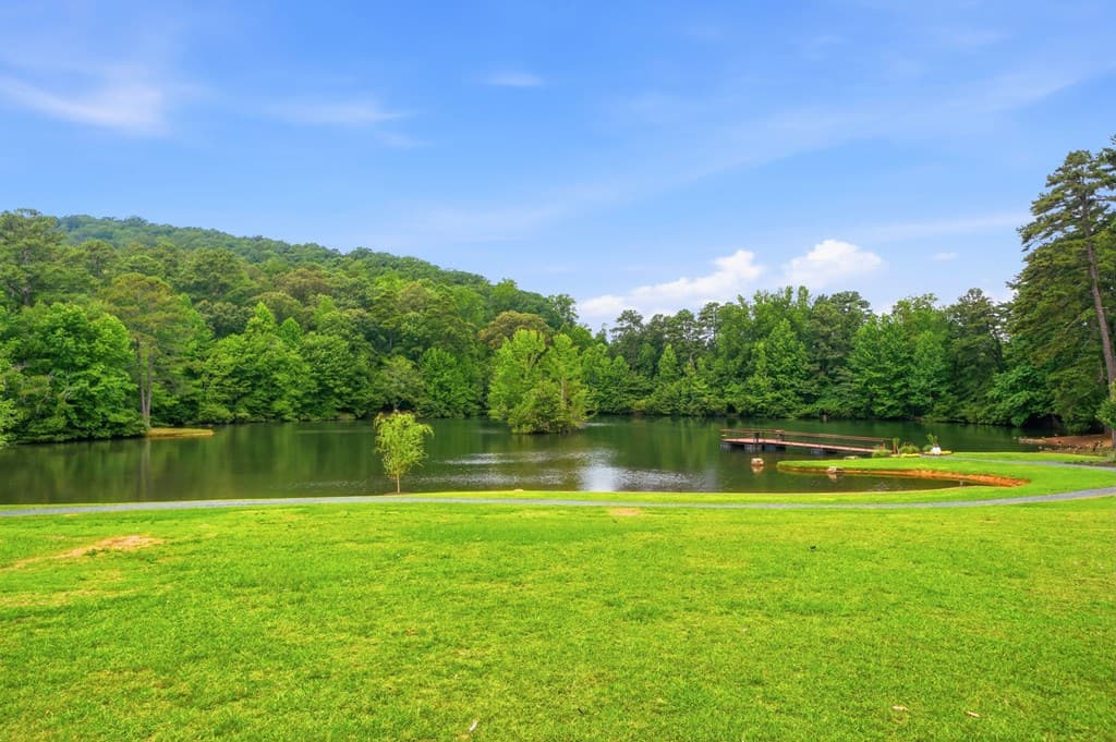225 Brookview Place, Woodstock GA 30188 - Photo