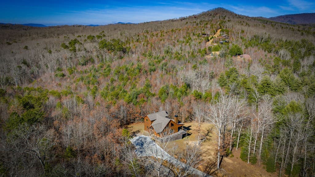 242 Whisperwood Trail, Mineral Bluff GA 30559 - Photo