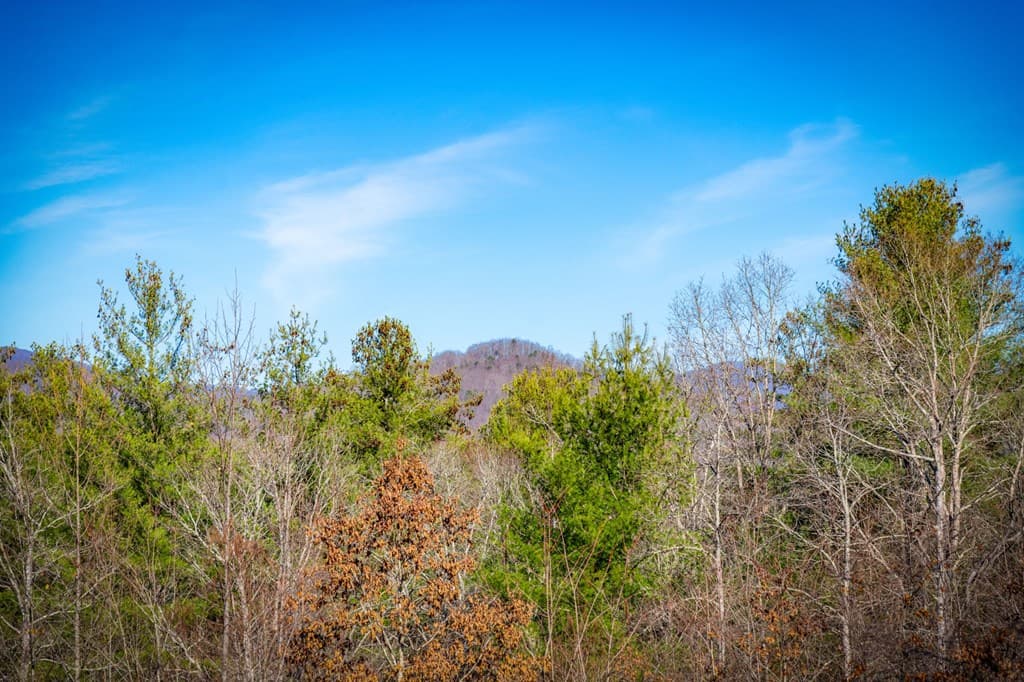 242 Whisperwood Trail, Mineral Bluff GA 30559 - Photo