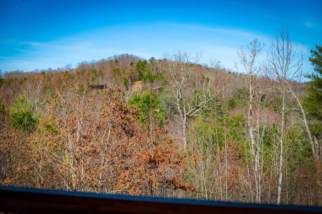 242 Whisperwood Trail, Mineral Bluff GA 30559 - Photo
