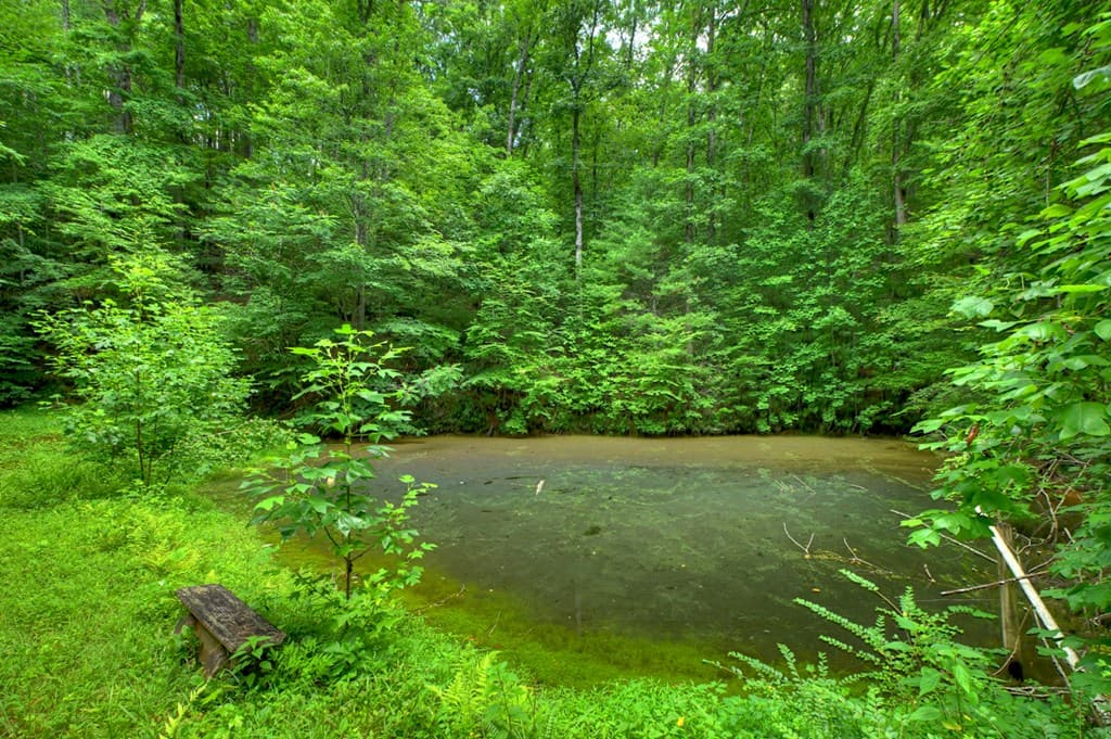 600 Conasauga Road, Ellijay GA 30540 - Photo