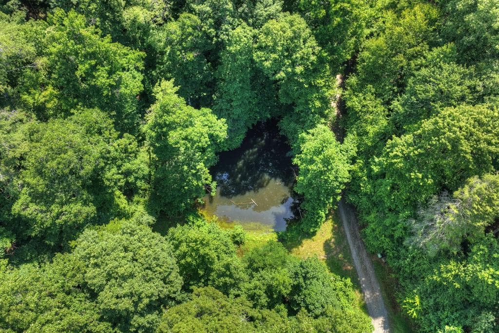 600 Conasauga Road, Ellijay GA 30540 - Photo