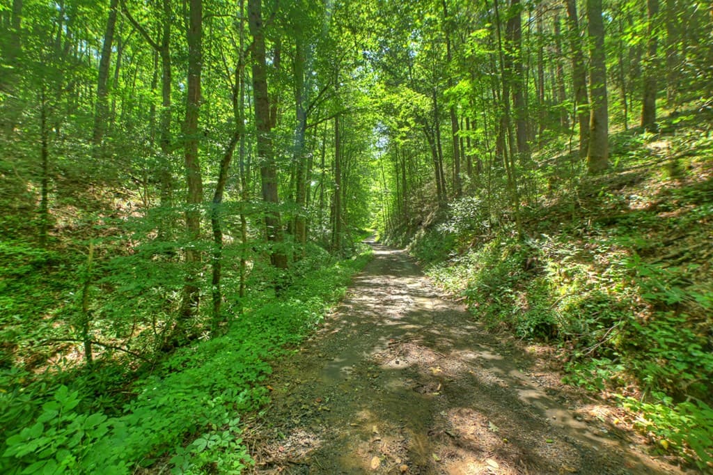 600 Conasauga Road, Ellijay GA 30540 - Photo