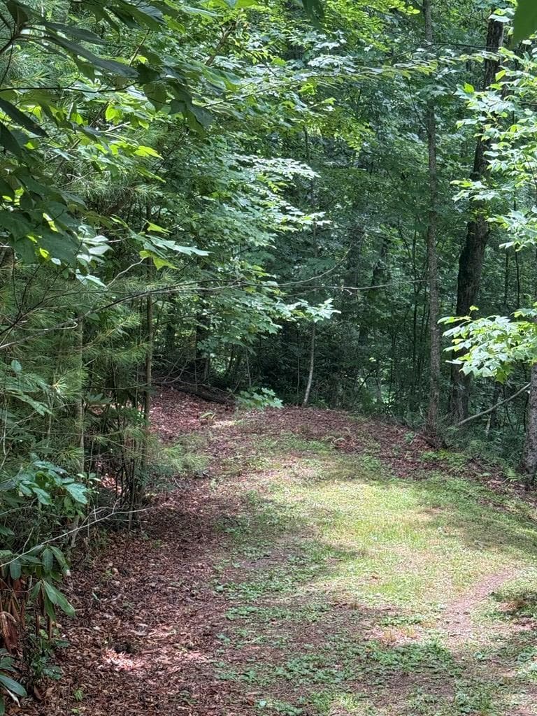 TBD Pinelog Church Road, Brasstown NC 28902 - Photo