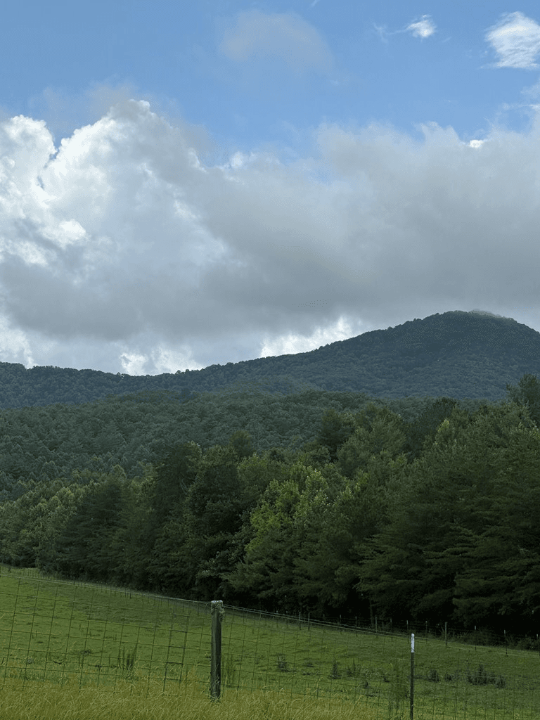 TBD Pinelog Church Road, Brasstown NC 28902 - Photo