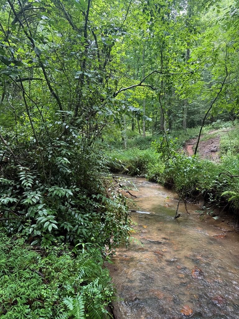 TBD Pinelog Church Road, Brasstown NC 28902 - Primary photo