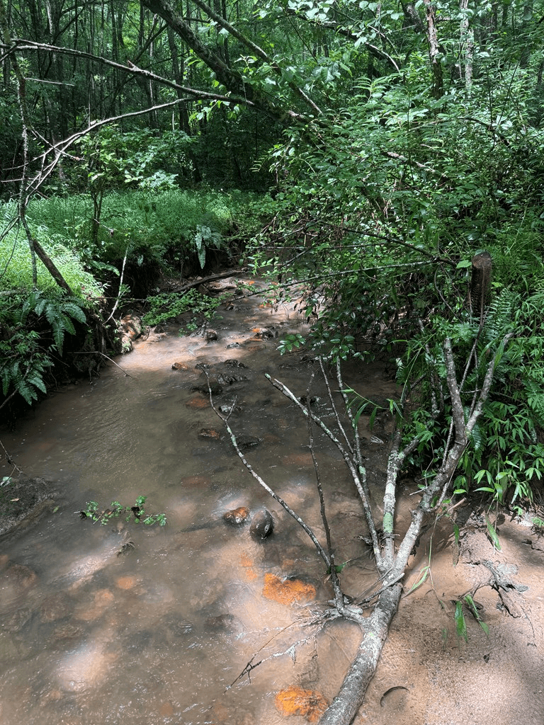 TBD Pinelog Church Road, Brasstown NC 28902 - Photo