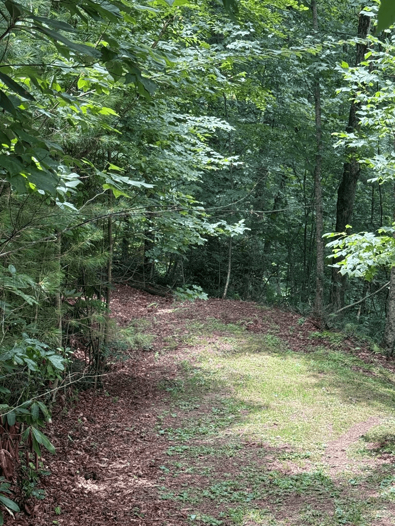 TBD Pinelog Church Road, Brasstown NC 28902 - Photo