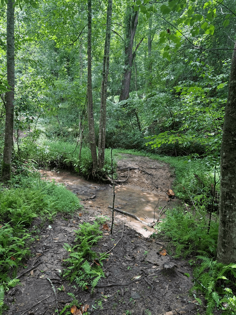 TBD Pinelog Church Road, Brasstown NC 28902 - Photo