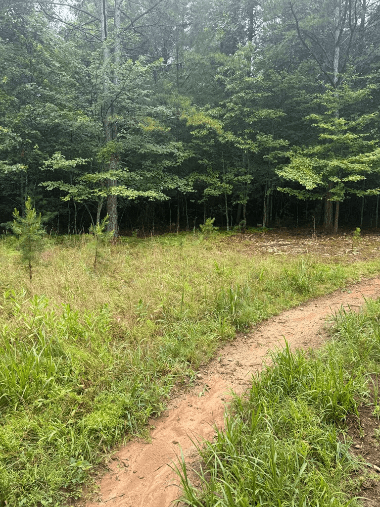 TBD Pinelog Church Road, Brasstown NC 28902 - Photo
