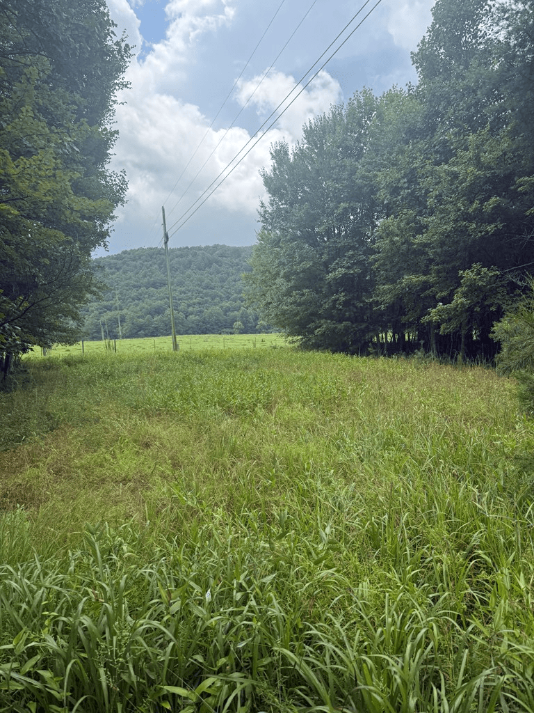 TBD Pinelog Church Road, Brasstown NC 28902 - Photo