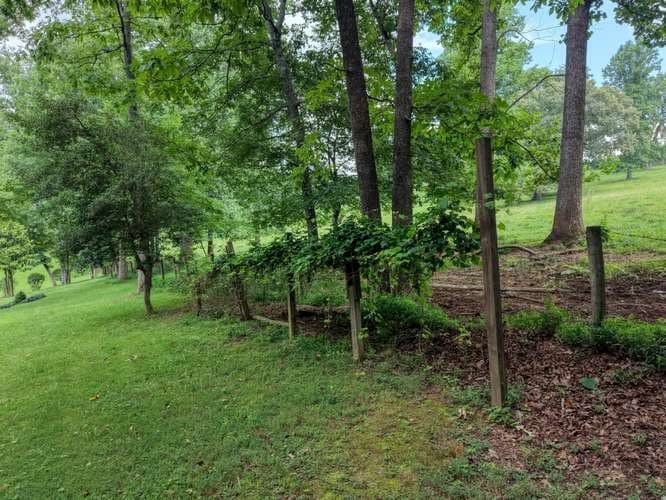 107 Warners Way, Blairsville GA 30512 - Photo