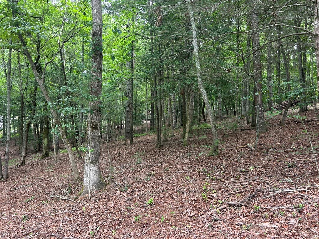 Lt 14 Fiddlers Cove, Blairsville GA 30512 - Photo