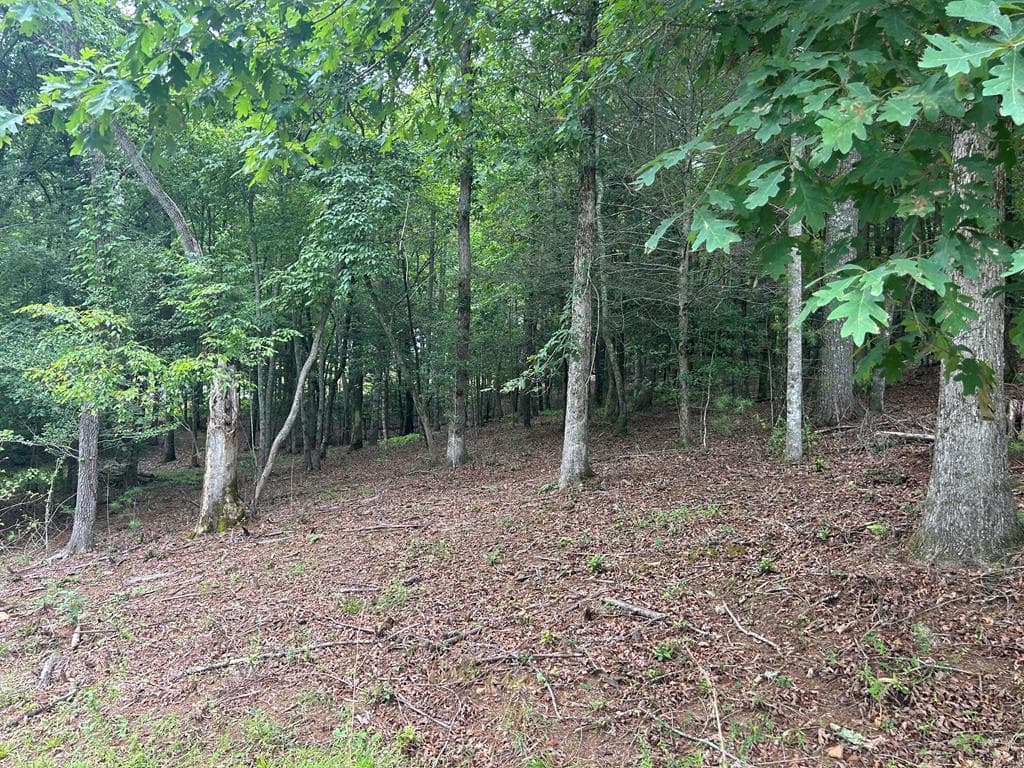 Lt 14 Fiddlers Cove, Blairsville GA 30512 - Primary photo