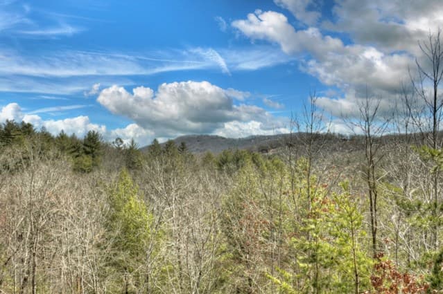 108 Skydancer Ridge, Blue Ridge GA 30513 - Photo