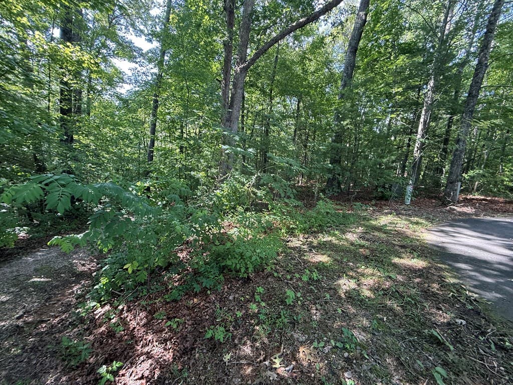 135 Oakview Road, Farner TN 37333 - Photo