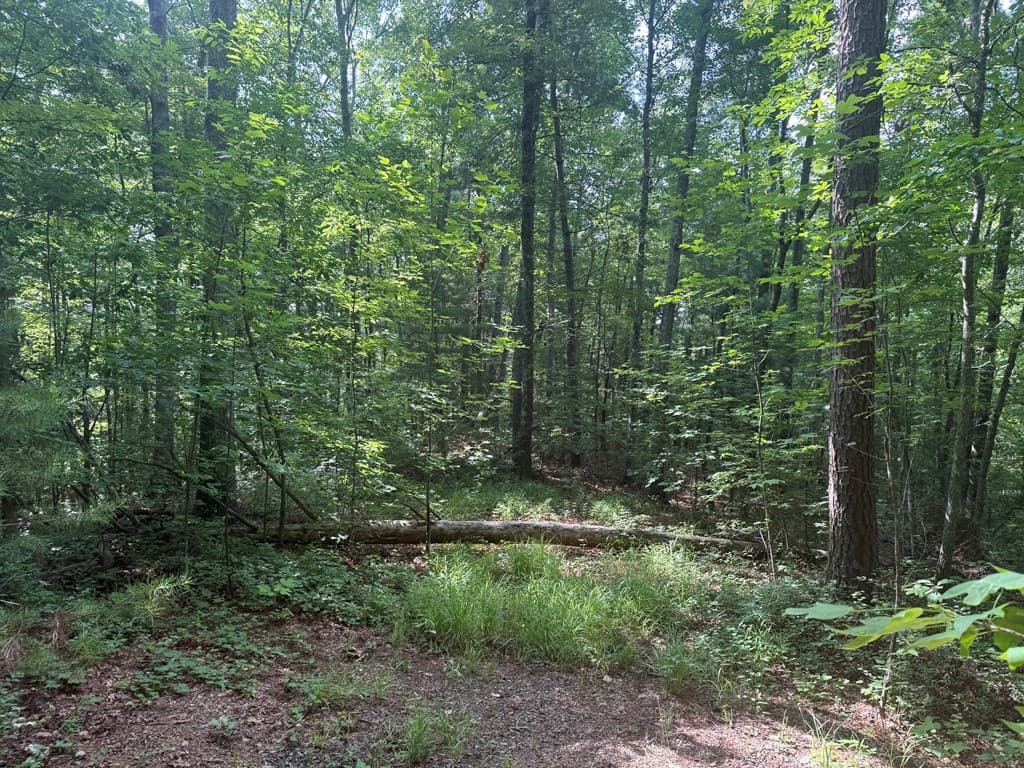 135 Oakview Road, Farner TN 37333 - Photo