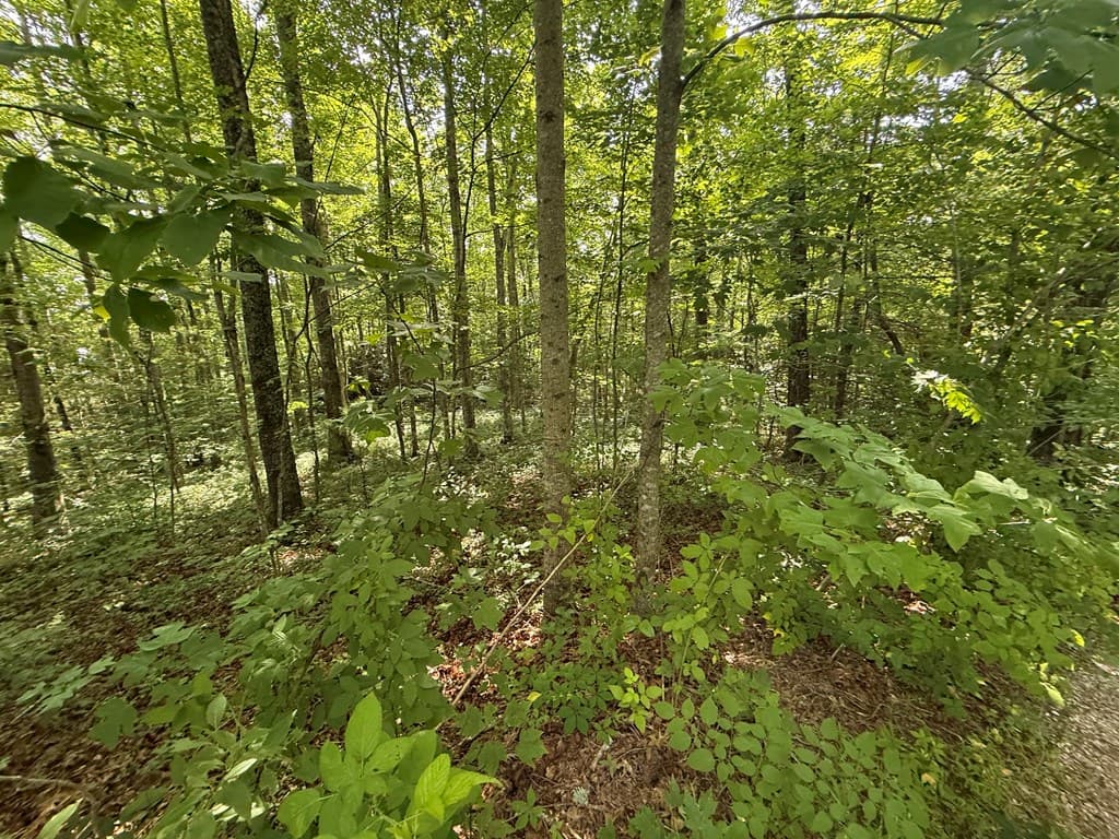 135 Oakview Road, Farner TN 37333 - Photo