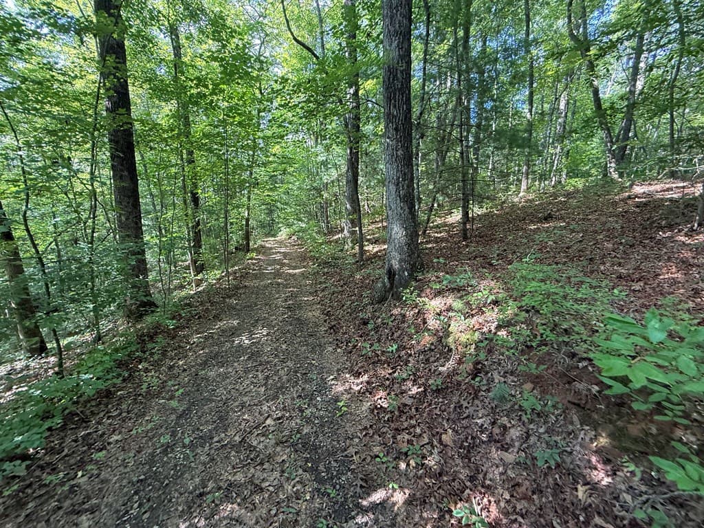 135 Oakview Road, Farner TN 37333 - Photo