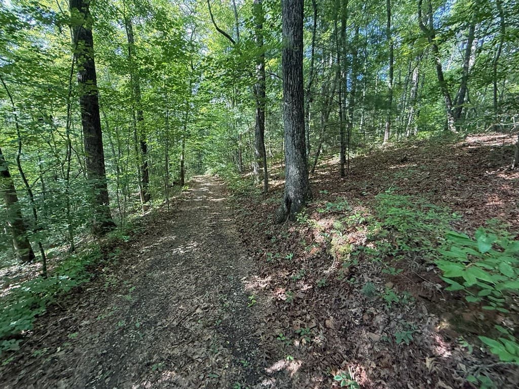 135 Oakview Road, Farner TN 37333 - Photo