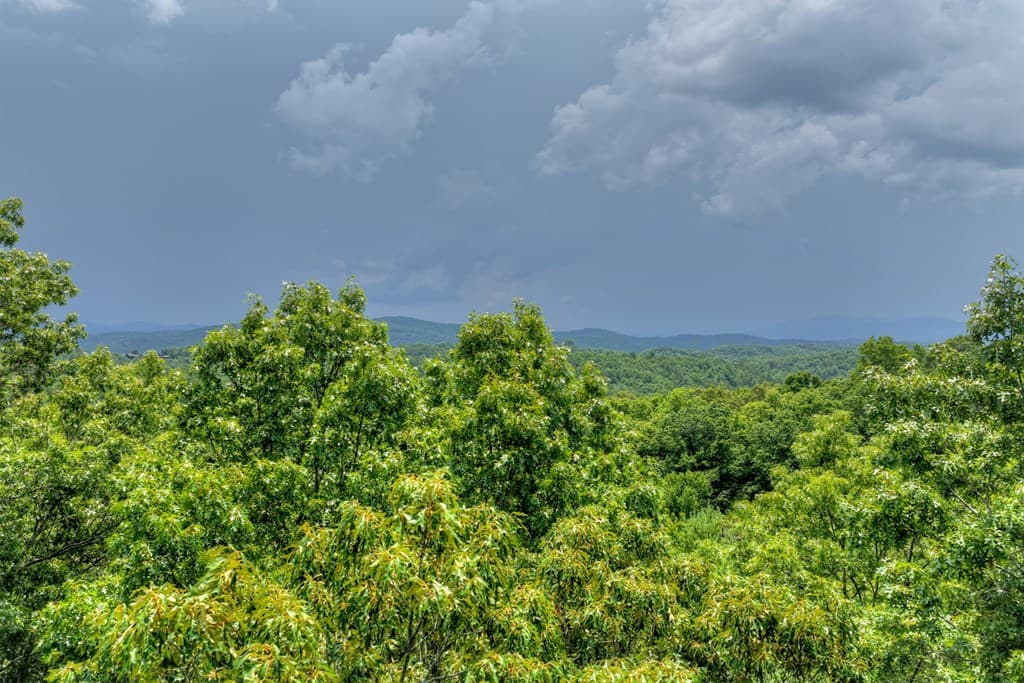 00 Scots Glen Road, Mineral Bluff GA 30559 - Photo