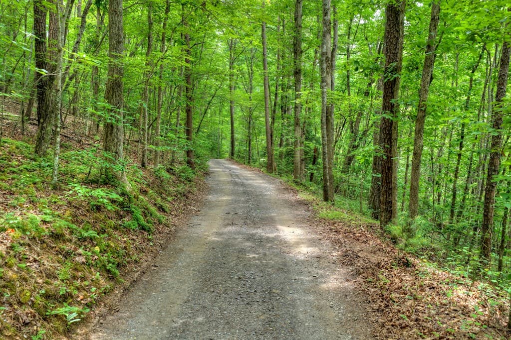 00 Scots Glen Road, Mineral Bluff GA 30559 - Photo