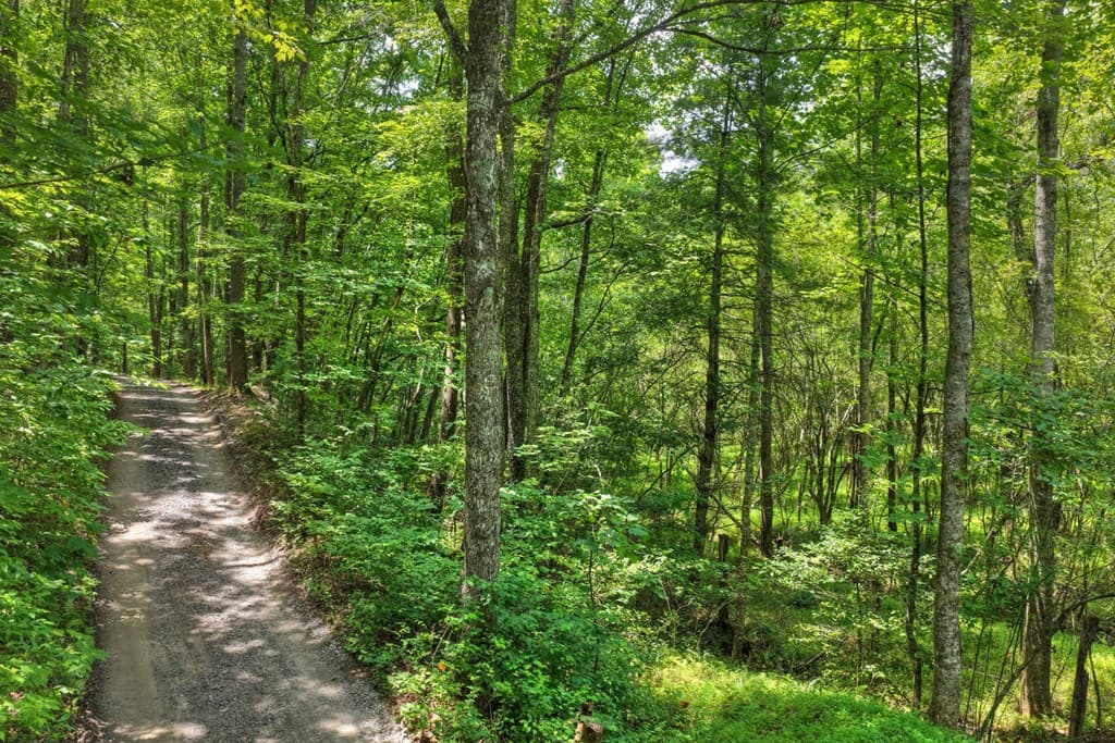 00 Scots Glen Road, Mineral Bluff GA 30559 - Photo