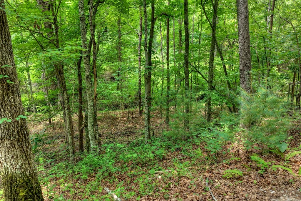 00 Scots Glen Road, Mineral Bluff GA 30559 - Photo