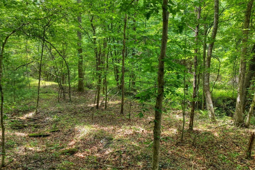 00 Scots Glen Road, Mineral Bluff GA 30559 - Photo