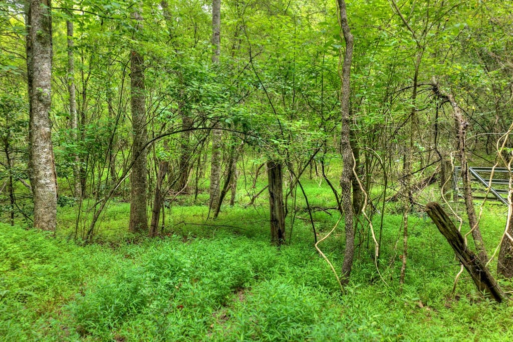 00 Scots Glen Road, Mineral Bluff GA 30559 - Photo