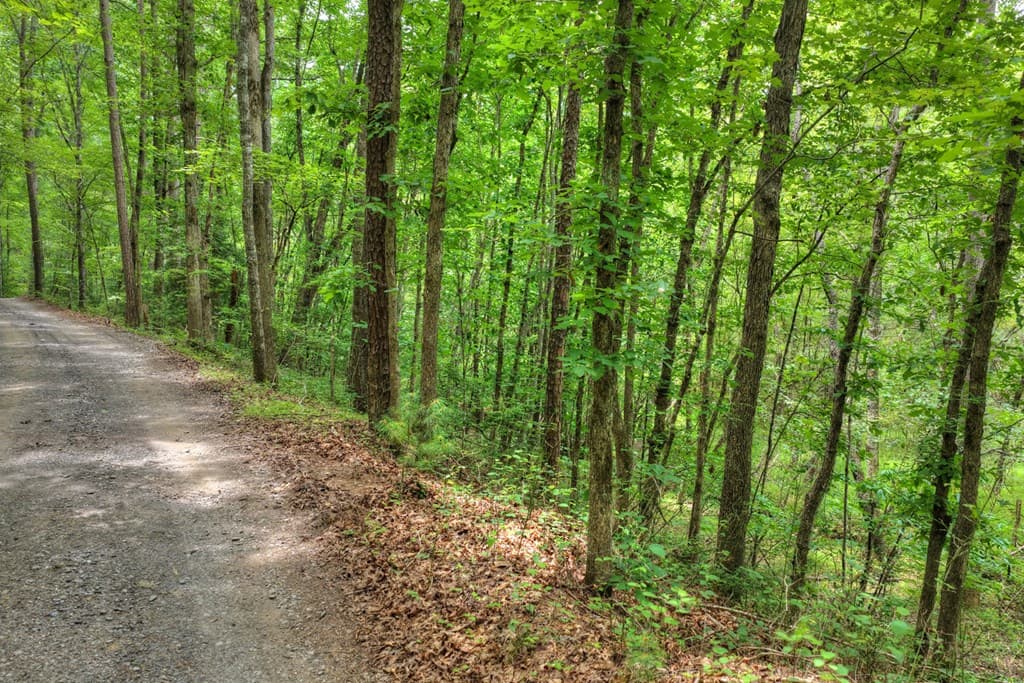 00 Scots Glen Road, Mineral Bluff GA 30559 - Photo