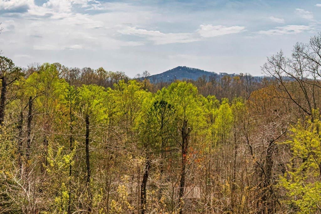 54 Henderson Lane, Mineral Bluff GA 30559 - Photo