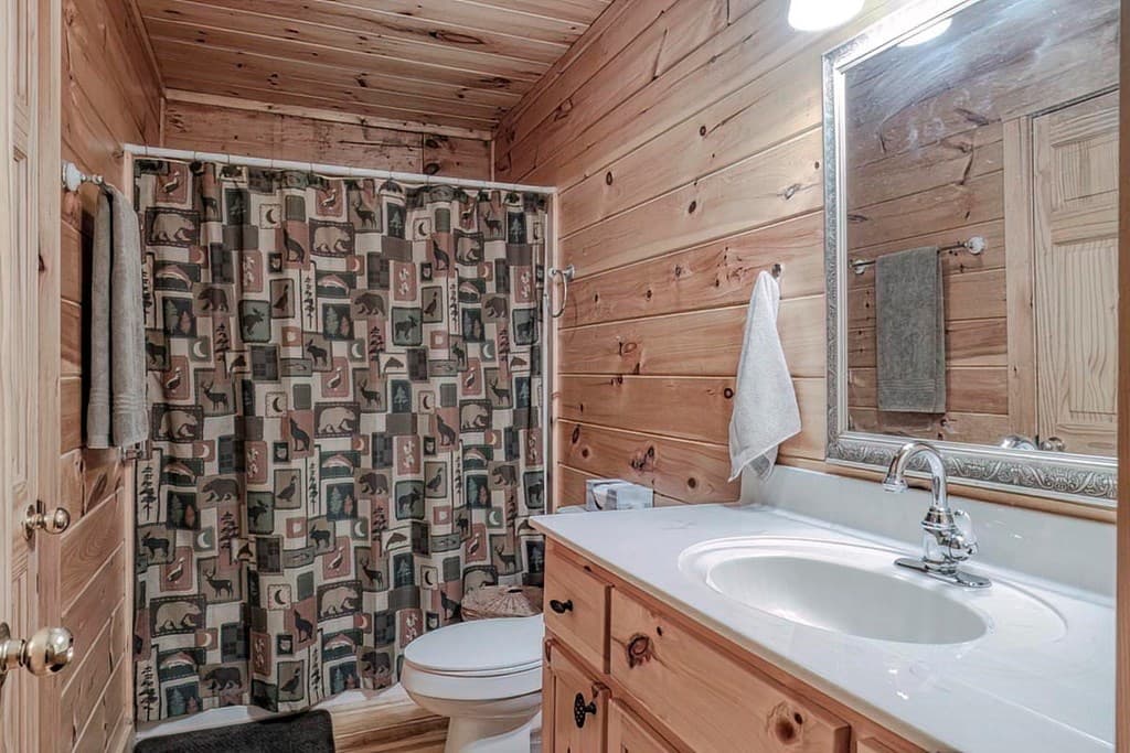 54 Henderson Lane, Mineral Bluff GA 30559 - Photo