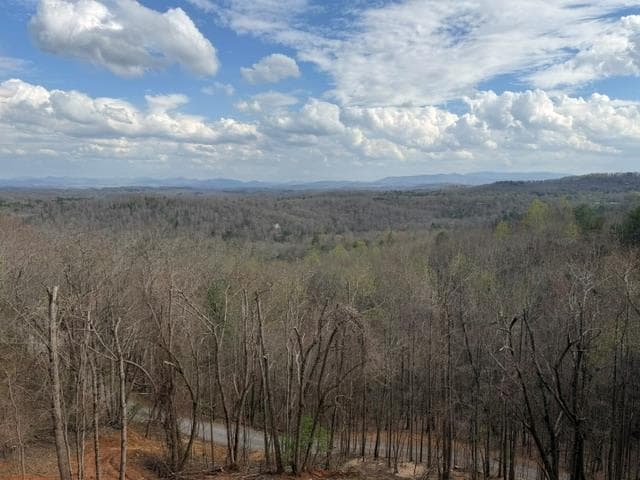 LT40 Lookout Drive, Blue Ridge GA 30015 - Primary photo