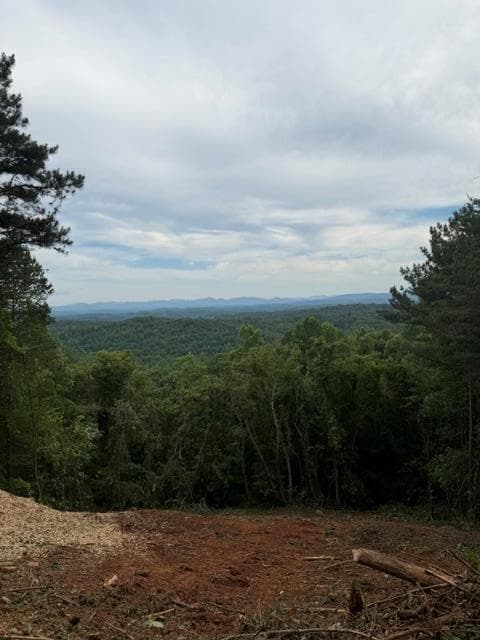 0 Lookout Drive, Blue Ridge GA 30015 - Primary photo