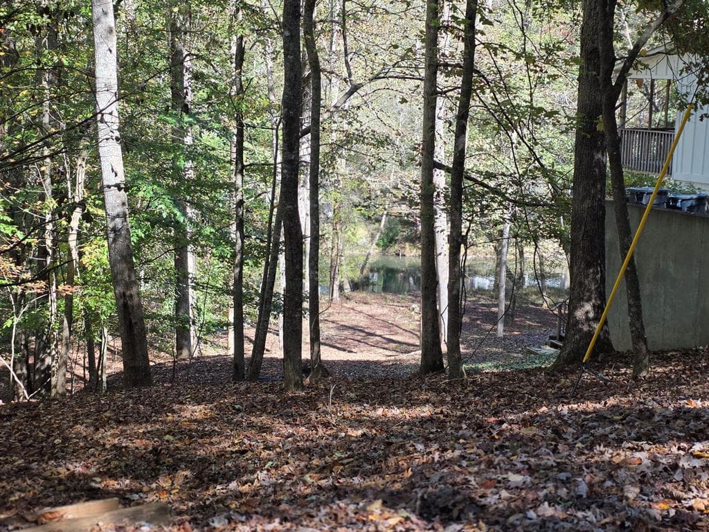 Lot #385 Zenith Trail, Ellijay GA 30540 - Photo