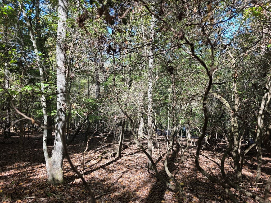 Lot #385 Zenith Trail, Ellijay GA 30540 - Photo
