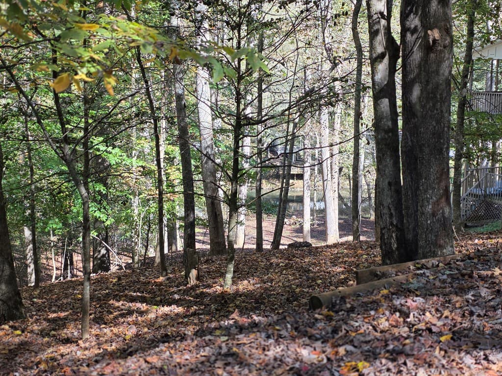Lot #385 Zenith Trail, Ellijay GA 30540 - Photo