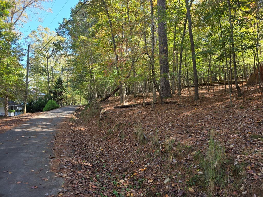 Lot #385 Zenith Trail, Ellijay GA 30540 - Photo