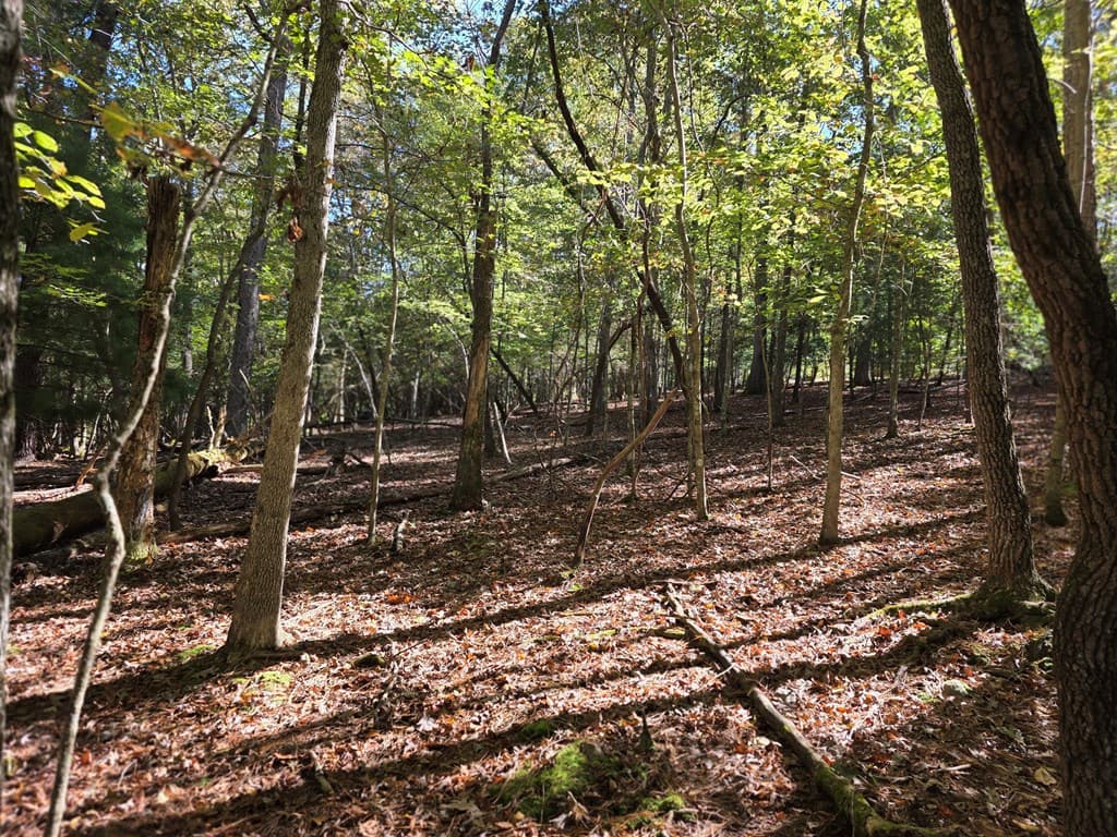 Lot #385 Zenith Trail, Ellijay GA 30540 - Photo