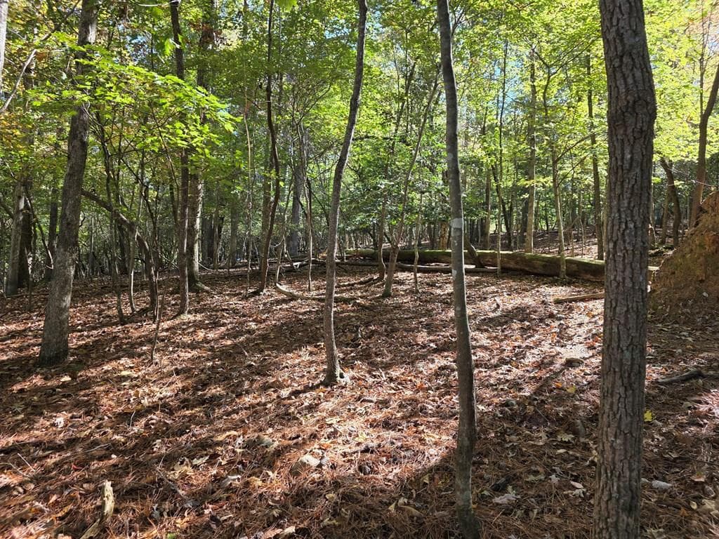 Lot #385 Zenith Trail, Ellijay GA 30540 - Primary photo