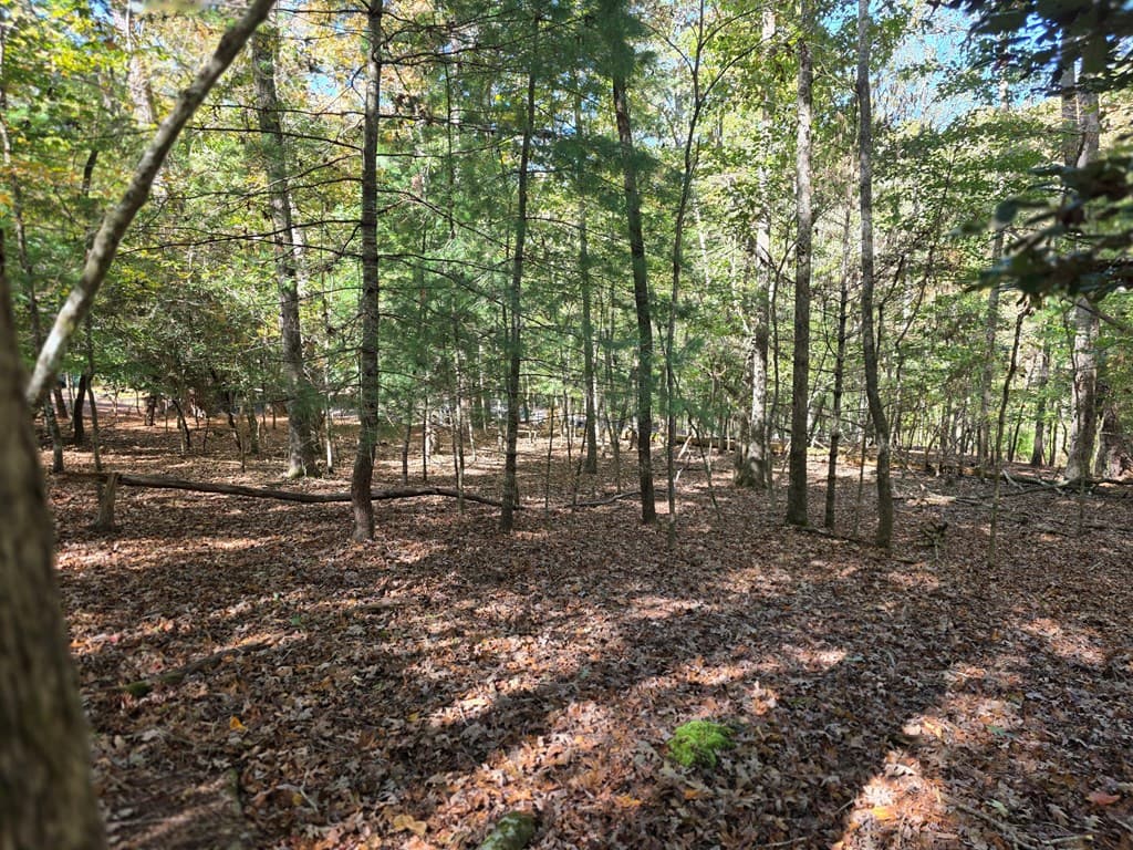 Lot #385 Zenith Trail, Ellijay GA 30540 - Photo