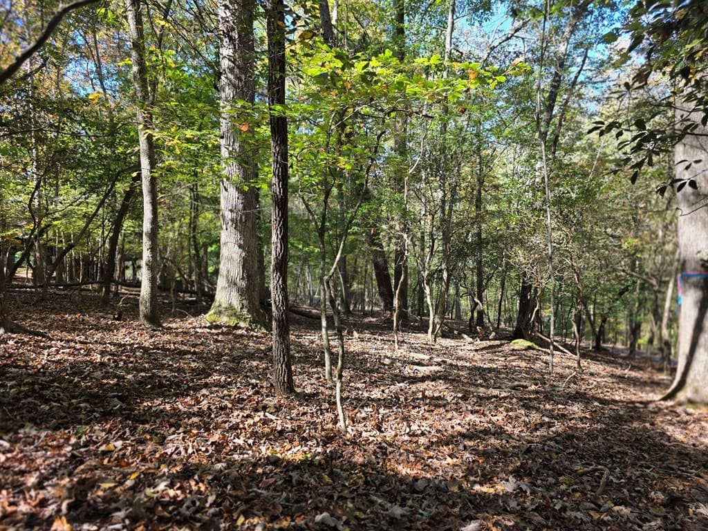 Lot #385 Zenith Trail, Ellijay GA 30540 - Photo