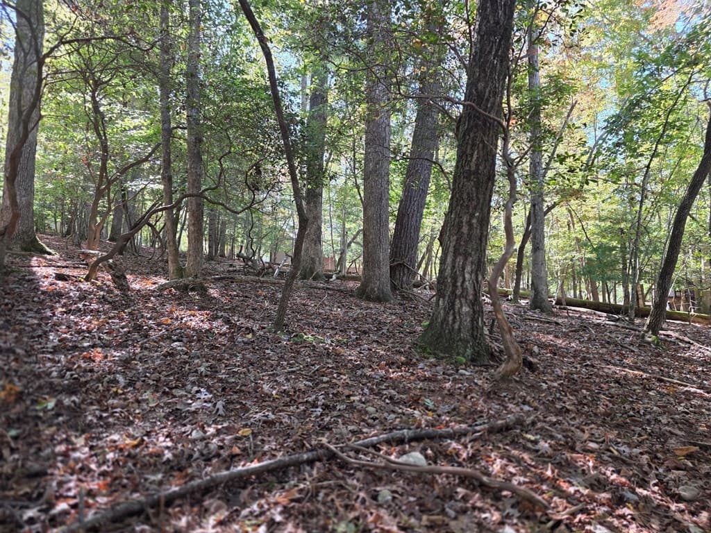 Lot #385 Zenith Trail, Ellijay GA 30540 - Photo